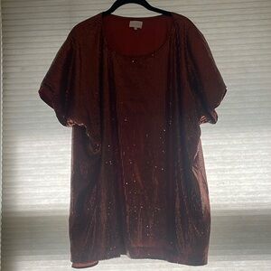 Gorgeous copper solid sequin women’s top size 2X only wore once.